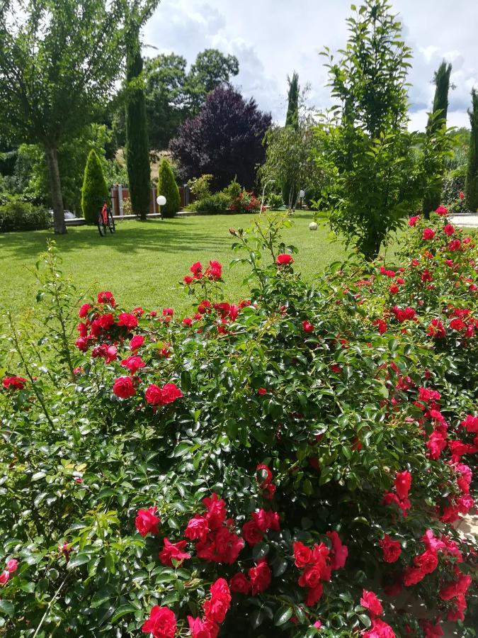 B&B Terra Del Sole Valmontone Extérieur photo