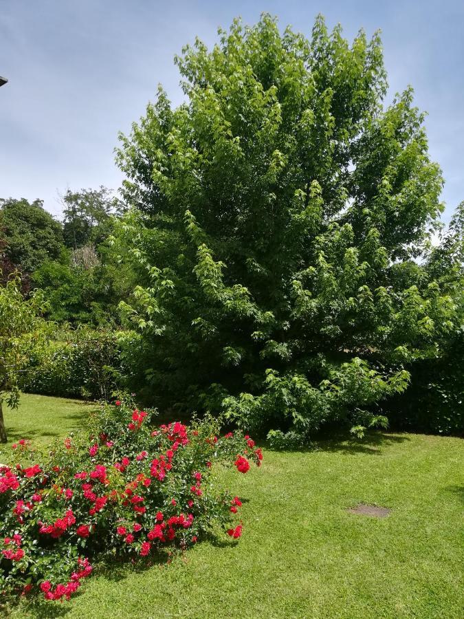 B&B Terra Del Sole Valmontone Extérieur photo